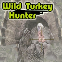 Wild Turkey Hunter Box Art