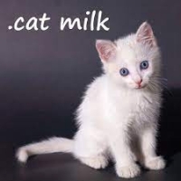 .Cat Milk Box Art