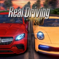 Real Driving Sim Box Art