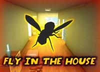 Fly in the House Box Art