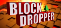 Block Dropper Box Art