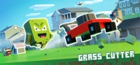 Grass Cutter Box Art