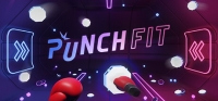 Punch Fit Box Art