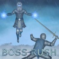 Boss Rush Box Art