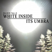 Silver Falls: White Inside Its Umbra Box Art