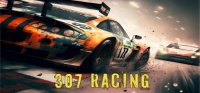 307 Racing Box Art