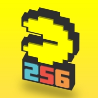 Pac-Man 256 Box Art
