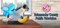 Salamander County Public Television Box Art