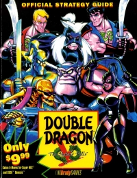 Double Dragon V: The Shadow Falls Official Strategy Guide Box Art