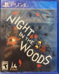 Night in the Woods Box Art
