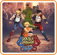 Double Dragon Gaiden: Rise of the Dragons Box Art