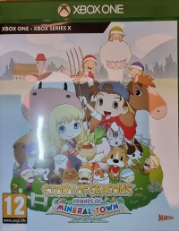 Story of Seasons: Friends of Mineral Town Box Art