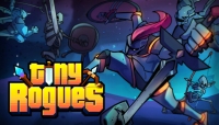 Tiny Rogues Box Art