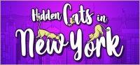Hidden Cats in New York Box Art