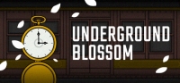 Underground Blossom Box Art