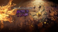 Mystery Case Files: Moths to a Flame Box Art