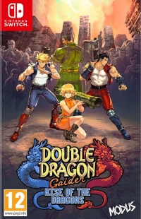 Double Dragon Gaiden: Rise of the Dragons Box Art