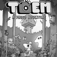 Toem Box Art