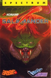 Salamander Box Art