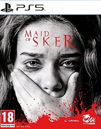 Maid of Sker Box Art