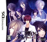 Soukoku no Kusabi: Hiiro no Kakera 3 DS Box Art