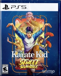 Karate Kid, The: Street Rumble Box Art