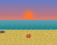 Sun Will Set, The Box Art