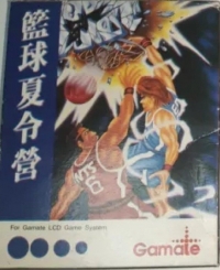 Basketball Box Art