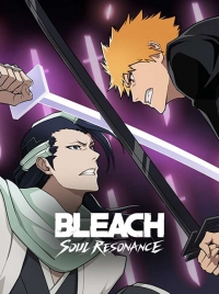 Bleach: Soul Resonance Box Art