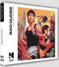 Bad Dudes Box Art
