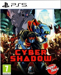 Cyber Shadow Box Art