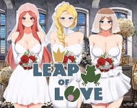 Leap of Love Box Art