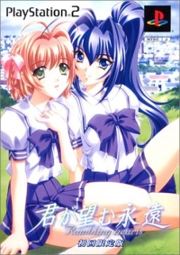 Kimi ga Nozomu Eien: Rumbling Hearts - Shokai Genteiban Box Art