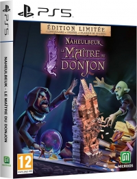 Naheulbeuk: Le Maitre du Donjon Box Art