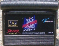 Arena Football '95 (cartridge) Box Art