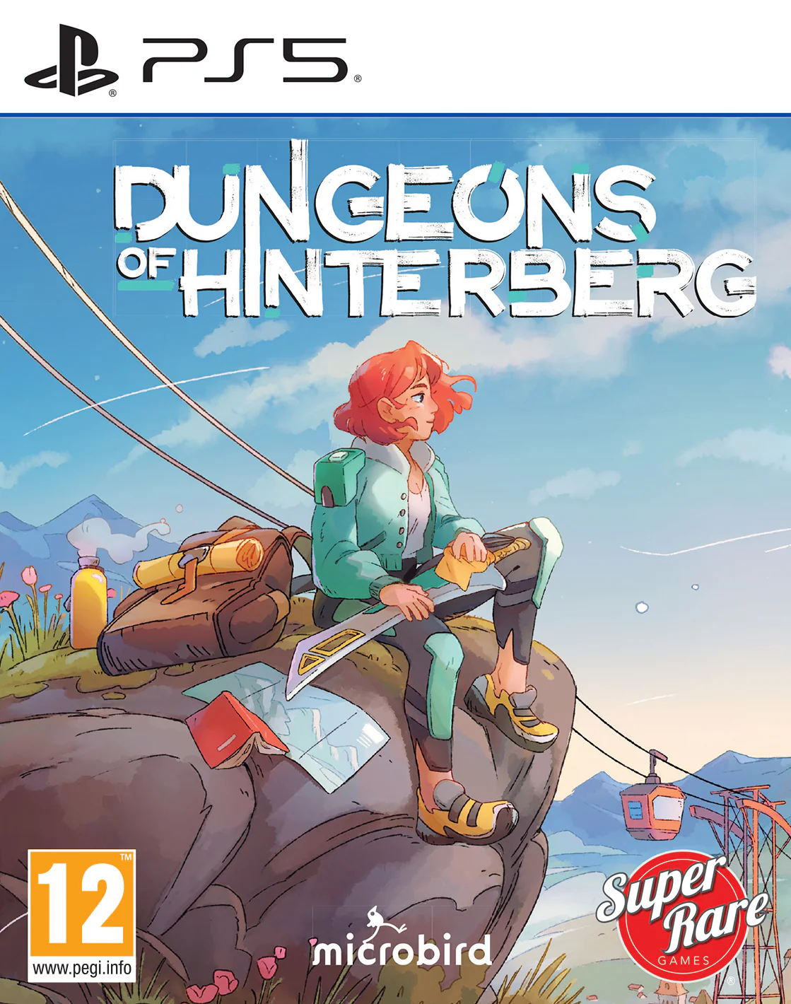 Dungeons of Hinterberg Box Art