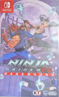 Ninja Gaiden: Ragebound Box Art