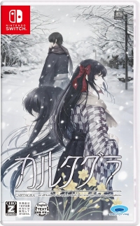 CARTAGRA: The Sickness of Possessory and Crazy Box Art