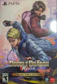 Double Dragon Revive - Collector's Edition Box Art