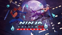 NINJA GAIDEN: Ragebound Box Art