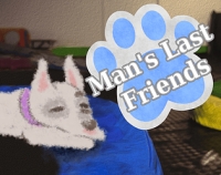Man's Last Friends Box Art