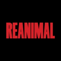 Reanimal Box Art