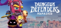 Dungeon Defenders: Awakened Box Art