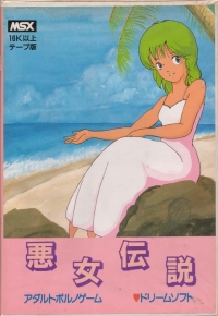 Akujo Densetsu Box Art