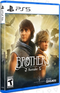 Brothers: A Tale of Two Sons Remake Box Art