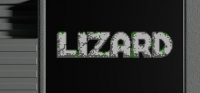 Lizard Box Art