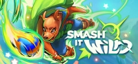 Smash It Wild: Tactical Volleyball Roguelike Box Art