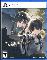 Wuthering Waves Box Art