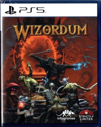 Wizordum Box Art