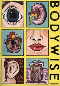 Bodywise Box Art